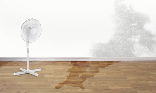  Blanco, TX Water damage restoration Pros